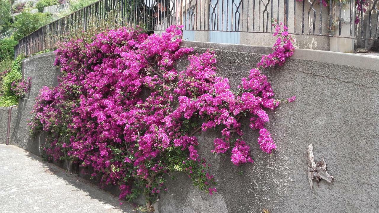 Un Gioiello Con Vista Mare Villa Moneglia Buitenkant foto